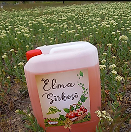 Elma sirkesi 5lt